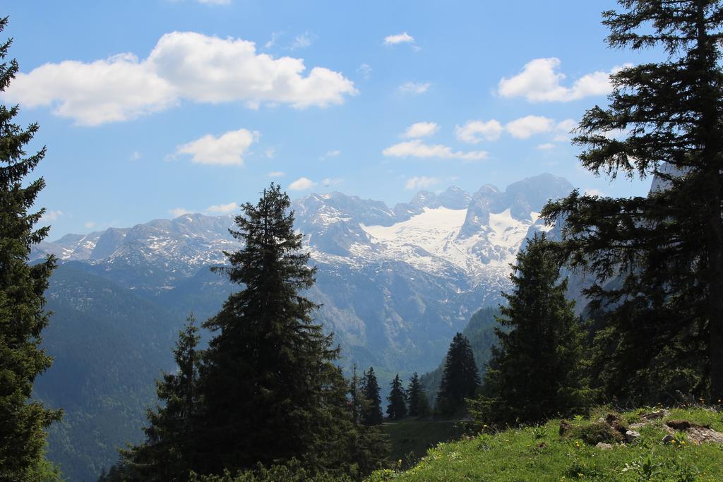 Salzburger Dolomitenhof Annaberg im Lammertal Dış mekan fotoğraf