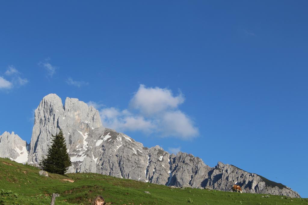 Salzburger Dolomitenhof Annaberg im Lammertal Dış mekan fotoğraf