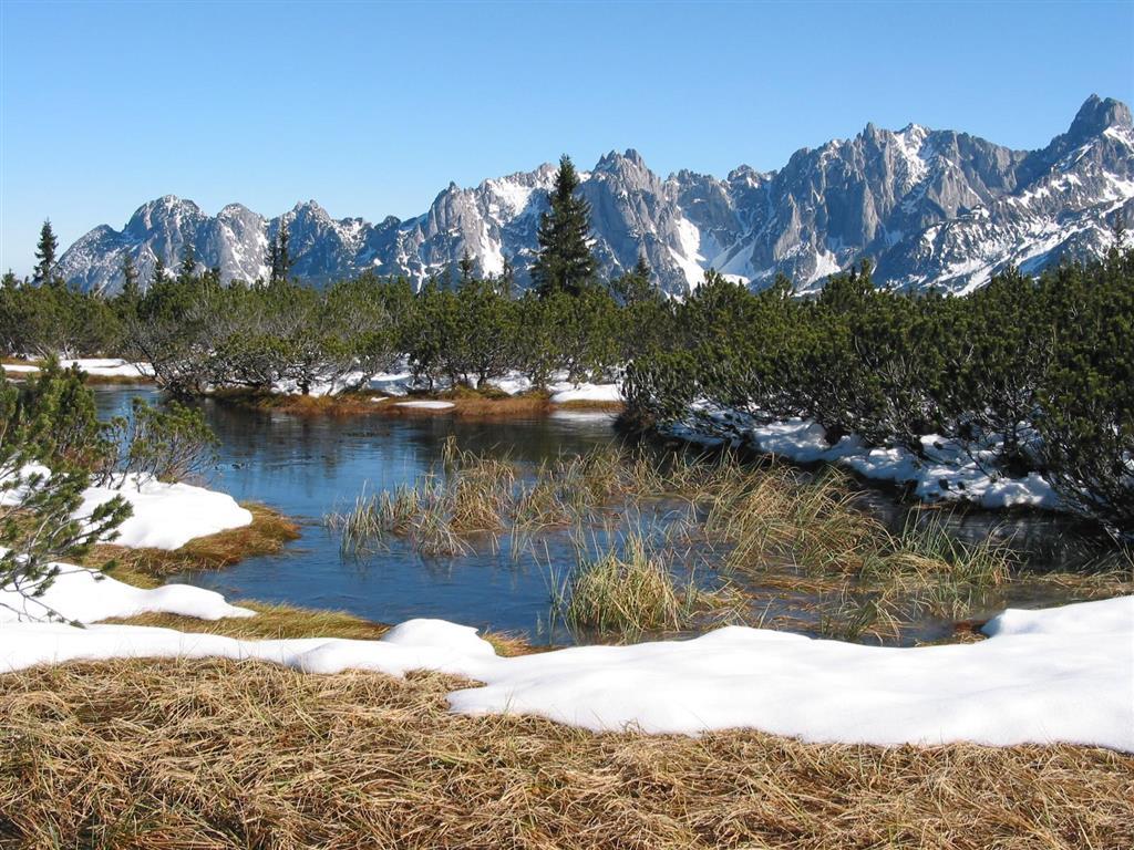 Salzburger Dolomitenhof Annaberg im Lammertal Dış mekan fotoğraf