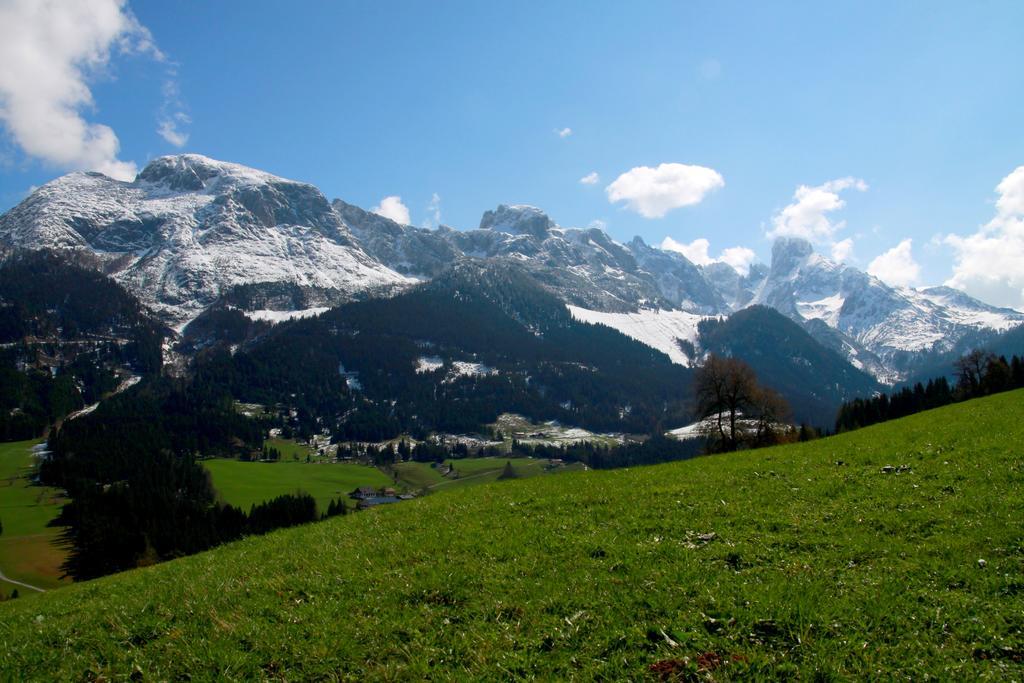 Salzburger Dolomitenhof Annaberg im Lammertal Dış mekan fotoğraf