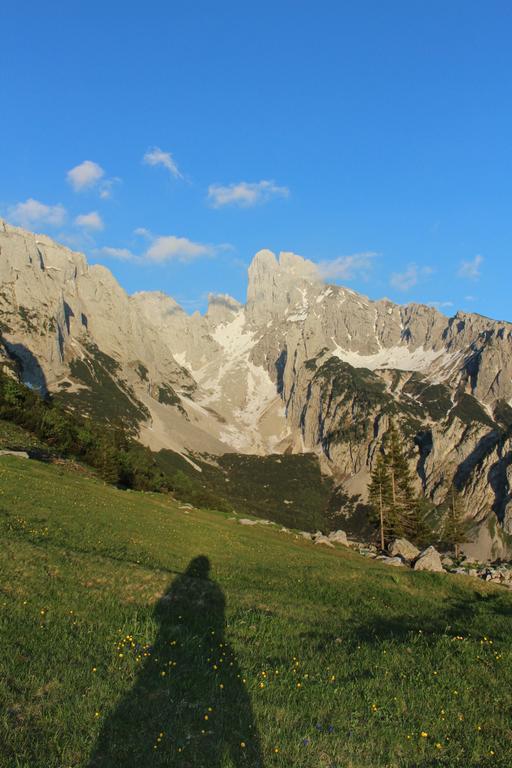 Salzburger Dolomitenhof Annaberg im Lammertal Dış mekan fotoğraf