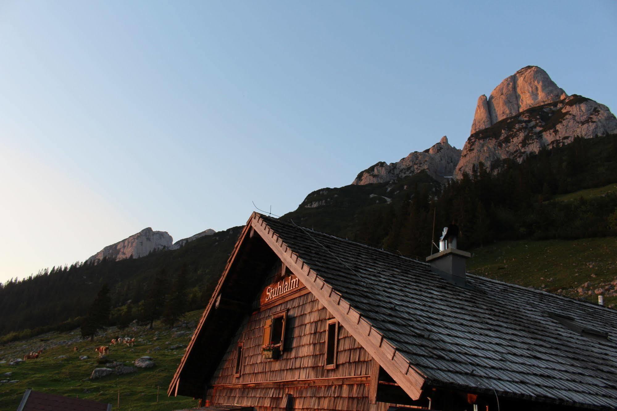 Salzburger Dolomitenhof Annaberg im Lammertal Dış mekan fotoğraf