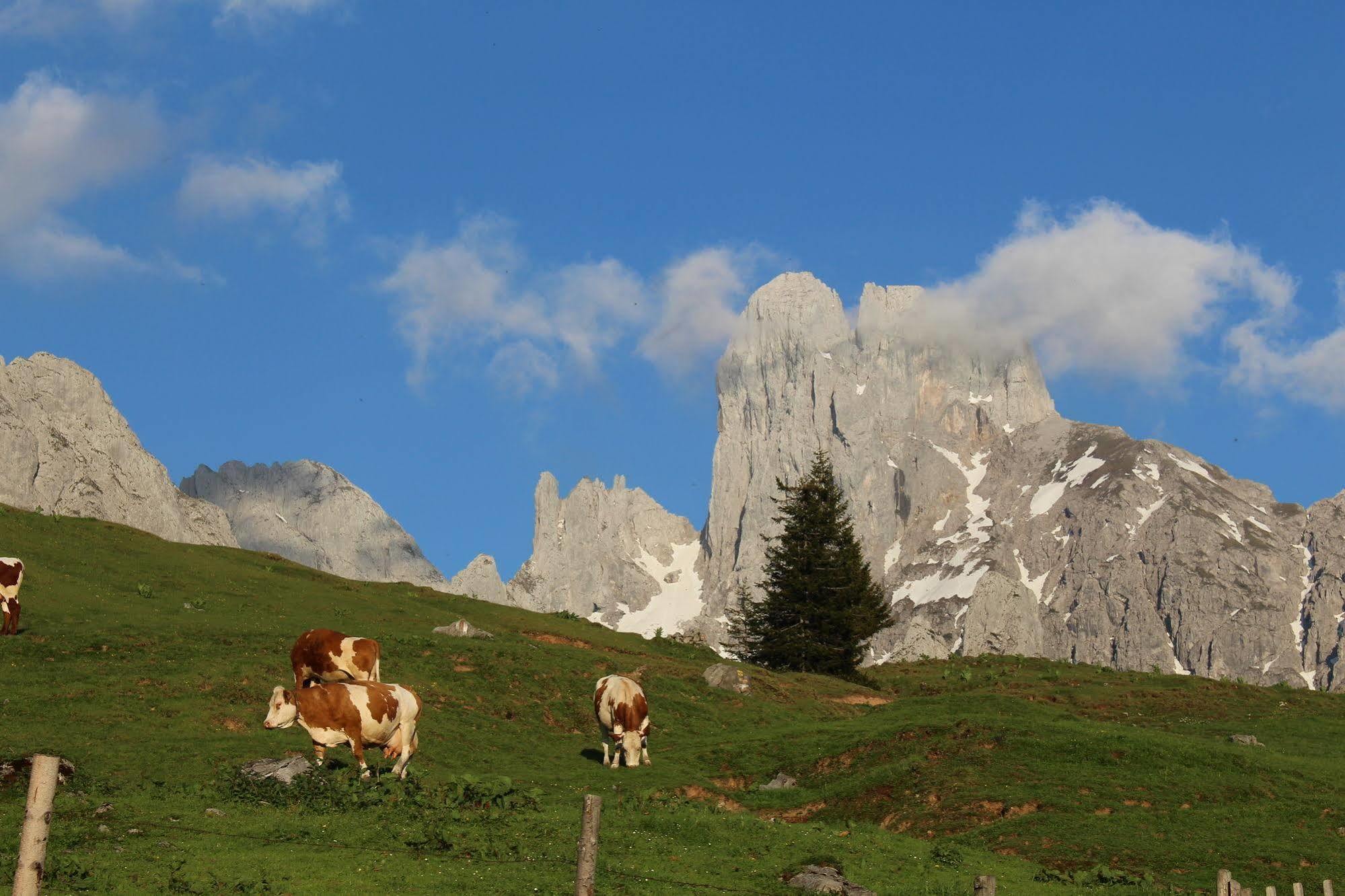 Salzburger Dolomitenhof Annaberg im Lammertal Dış mekan fotoğraf